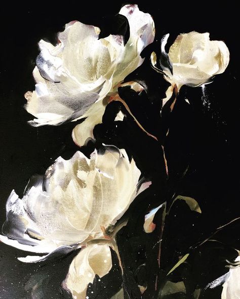 Painting On Black Background, Painting Black Background, Black Background Painting, Flowers Black Background, Black Canvas Art, Black Canvas Paintings, Abstract Flower Painting, Black And White Painting, Oil Painting Flowers