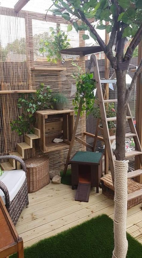 Small Catio Ideas Cat, Diy Cat Patio, Cat Obstacle Course, Cat Room Outdoor, Catios Ideas For Cats, Catio Patio, Cat Shed, Cat Porch, Cat Balcony