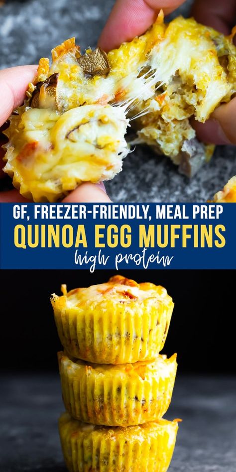 Quinoa egg muffins are super simple to make with just a few ingredients. This breakfast muffin recipe is full of protein and customizable to suit your tastes. It’s gluten-free, freezer-friendly and perfect for meal prep. #sweetpeasandsaffron #quinoaeggmuffins #highprotein #glutenfree #freezer #mealprep #breakfast #togobreakfast Sleeved Recipes, Mealprep Breakfast, Quinoa Egg, Gluten Free Meal Prep, Breakfast Muffin, Healthy Breakfast Muffins, Breakfast Biscuits, Quinoa Breakfast, Freezer Meal Prep