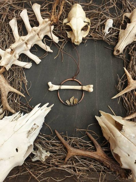 Diy Antler, Animal Bone Jewelry, Bone Collector, Festival Headpiece, Skull Crafts, Steampunk Crafts, Rust Patina, Taxidermy Art, Bone Crafts