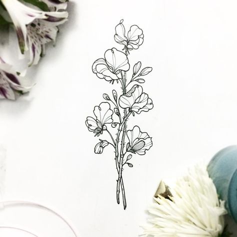 NATHALYBONILLA *tattoo* 🇻🇪 (@nathalybonilla) on Instagram: “Sweet peas flowers, as a very delicate yet strong memory of the love ones 🌿🌸…” Gardening Doodles, Tattoo Birth Flowers, Sweetpea Flower Tattoo, Sweat Pea Tattoo, Sweet Peas Flowers, Pea Tattoo, Sweet Pea Tattoo, Sweet Pea Flowers, Daisy Tattoo