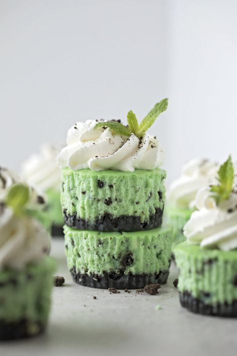 Green Baked Goods, Recipes With Mint Oreos, Mint Oreo Dessert Recipes, No Bake Oreo Mint Cheesecake, Freeze Cheesecake, Mint Oreo Dessert, Mini Mint Oreo Cheesecake, Green Cheesecake, Freeze Cheese