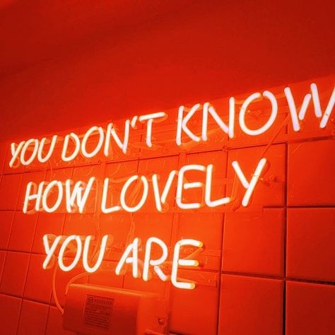 Mine Aesthetic, Orange Quotes, Background Orange, Orange Theory, Neon Quotes, Simple Minds, Pink Quotes, Color Quotes, Orange Aesthetic