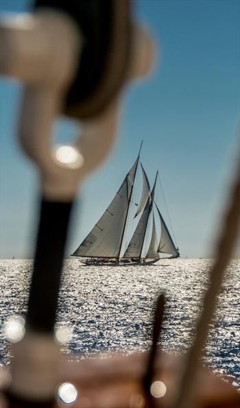 Capri Classica: The first bespoke regatta for classic schooners Sail World, Sailing Regatta, Classic Boats, Summer Wallpaper, Boating, Worlds Largest, Sailing, Bespoke, Capri