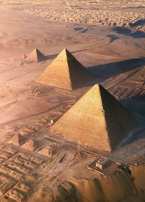 The Scorpion King, Scorpion King, Egypt Aesthetic, Pyramids Egypt, Thriller Novels, Valley Of The Kings, Egyptian Culture, Ancient Egyptians, Archaeological Finds