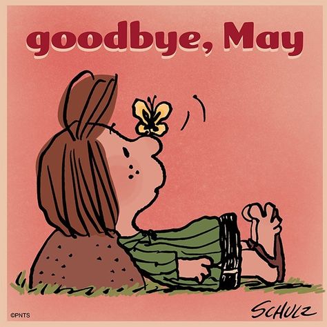 Goodbye May, Hello Goodbye, Peanuts Characters, Snoopy Quotes, Peanuts Christmas, The Peanuts, Charlie Brown Peanuts, Charlie Brown And Snoopy, Saying Goodbye