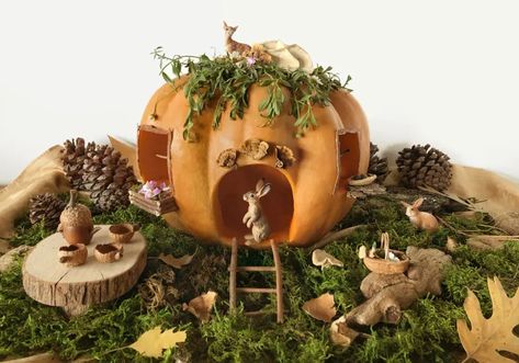 Autumn – Woodlark Blog Winter Homes, Pumpkin Fairy House, Pumpkin Fairy, Types Of Pumpkins, Halloween Pumpkin Diy, Window Box Flowers, Pumpkin House, Halloween Pumpkin Designs, Halloween Traditions