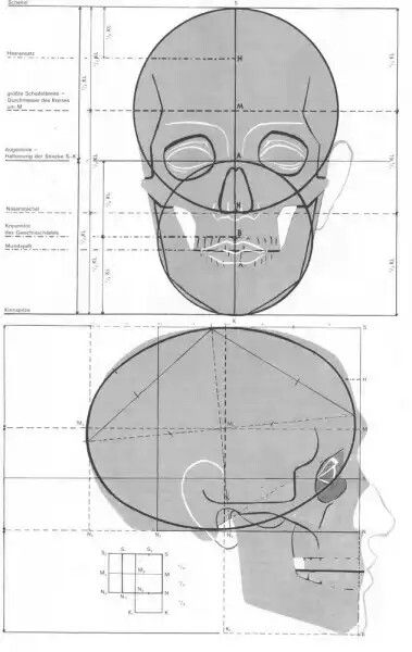 Skull Anatomy Drawing Study, Human Skull Anatomy, Skull Anatomy, Head Anatomy, Skull Sketch, Skeleton Drawings, Anatomy Sculpture, 얼굴 드로잉, Drawing Tutorial Face