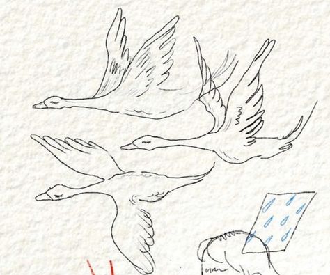 Bird Tattoo Placement Ideas, Two Geese Tattoo, Simple Goose Drawing, Snow Goose Tattoo, Wild Goose Tattoo, Wild Geese Mary Oliver Tattoo, Flying Goose Tattoo, Goose Drawing Simple, Wild Geese Tattoo