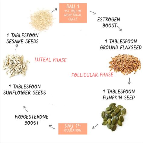 Seed Cycling, Cycle Syncing, Low Estrogen, Estrogen Dominance, Feminine Health, Hormone Balance, Nail Health, Hormone Balancing, Healthy Pregnancy