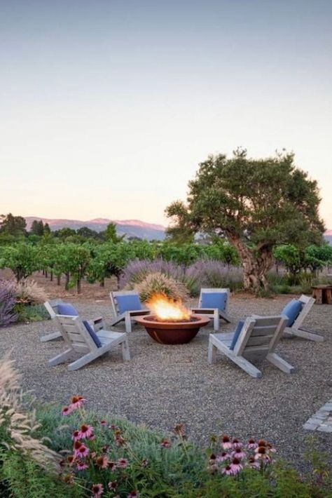 Utah Flower Garden Ideas, Home Vineyard, Hillside Backyard, Napa Garden, California Garden Design, Utah Garden, Vineyard Garden, In House Garden, Backyard Vineyard