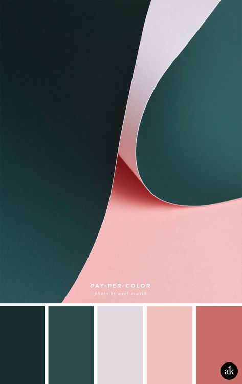 a paper-photograph-inspired color palette // hunter green, gray, dusty pink, antique rose // photo by Axel Oswith Sincere Color Palette, Pink And Dark Green Color Palette, Dark Branding Color Palette, Dark Green Pink Color Palette, Pink Green Black Bedroom, Pink Green Black Color Palette, Lively Color Palette, Inspiring Color Palette, Colours That Go With Black