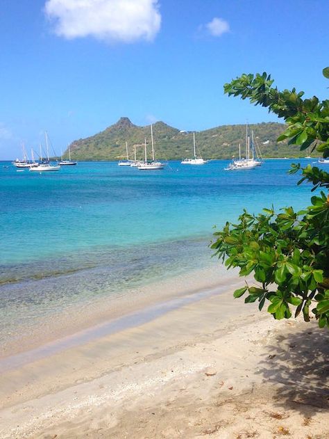 Perfect Caribbean beach. Tyrrel Bay, Carriacou. Grenada. From Island Runaways, an island travel blog. www.IslandRunaways.com Carriacou Grenada, Caribbean Beach, Caribbean Beaches, Island Vibes, Island Travel, Travel Blog, Vision Board, Travel