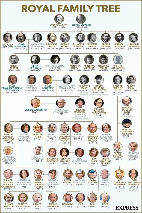 Family Tree Queen Elizabeth, The Royal Family British Monarchy, Royal Family Tree England, Queen Elizabeth Family, Windsor Family Tree, Royal Family Of England, Got Family Tree, Royal Family Tree, Prince Philip Queen Elizabeth