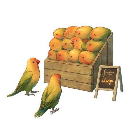 Mango Bird, Parrot Tattoos, Parrot Tattoo, Animal Eating, Bird Parrot, Funny Parrots, Mango Fruit, Funny Vintage, Fruit Art