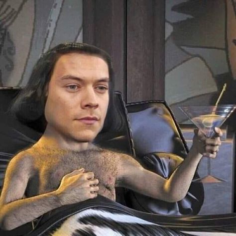 Harry Styles Memes, Harry Styles Funny, One Direction Humor, Harry Styles Pictures, One Direction Memes, Harry Styles Photos, Funny Profile, Very Funny Pictures, Funny Profile Pictures