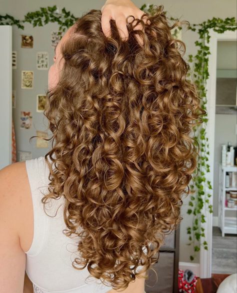 Quantity Surveyor, Curly Hair Cut, Perfect Curly Hair, Hair Aesthetics, Curly Haircut, Back Braid, Dyed Curly Hair, Natural Curly Hair Cuts, Highlights Curly Hair