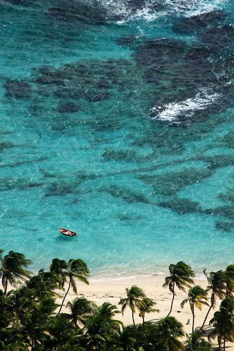 La Désirade Island, Guadeloupe. Souffleur's beach. Summer Paradise, Amsterdam Travel, Bora Bora, Caribbean Islands, Places Around The World, Travel Around The World, Wonderful Places, Dream Vacations, Beautiful Beaches