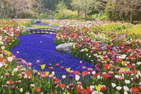 20 Best Michigan Gardens to Explore This Year Michigan Gardening, Hotel Garden, Lake Garden, Belle Isle, Tulips Garden, Lavender Farm, Fantasy Forest, Sculpture Park, Mackinac Island