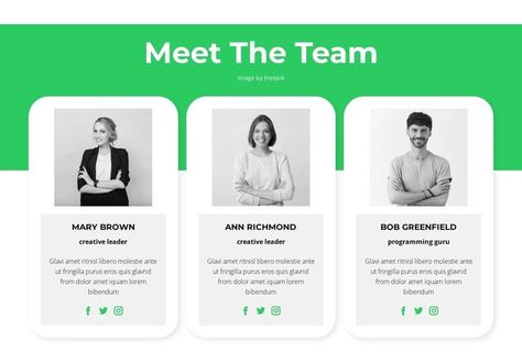 Meet our experts Homepage Design Meet The Team Website Design, Team Profile Design, Team Page, Homepage Design, Business Law, Meet The Team, Profile Design, Web Template, Brand Identity Design