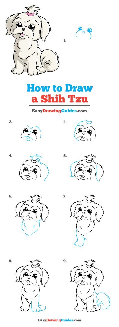 How to Draw a Shih Tzu Step by Step Tutorial Image How To Draw Puppies, How To Draw A Shitzu Dog, Shih Tzu Puppy Drawing, How To Draw A Shih Tzu, Shitzu Drawing, Shih Tzu Sketch, How To Draw A Shih Tzu Step By Step, Shih Tzu Drawing Easy, Shih Tzu Dog Drawing Easy