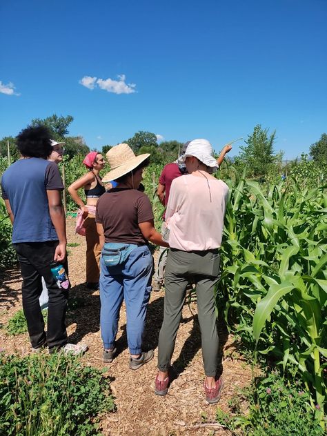 Food Justice & Sovereignty Program (FJS) — Harvest Of All First Nations Food Sovereignty, Food Justice, Food Security, First Nations, Agriculture, Education, Quick Saves