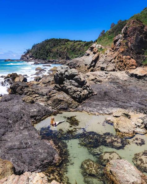 18 incredible things to do in Port Macquarie that have the wow factor — Walk My World Sea Cave, Port Macquarie, Road Trippin, Swimming Holes, Rock Pools, Big Tree, Wow Factor, Picnic Area, Byron Bay