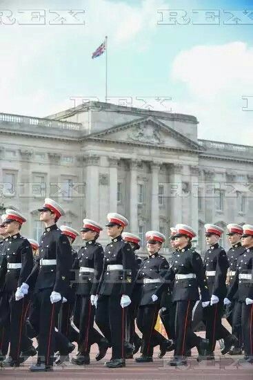 Trafalgar Day celebration, London, UK. - 23 Oct 2016.  Sea Cadets parade from Horse Guards to Trafalgar Square to celebrate Trafalgar Day.  23 Oct 2016 Sea Cadets Uk, Cadets Aesthetic, Sea Cadets, Horse Guards, Trafalgar Square, Royal Navy, Buckingham Palace, Blue Suit, Queen Elizabeth Ii