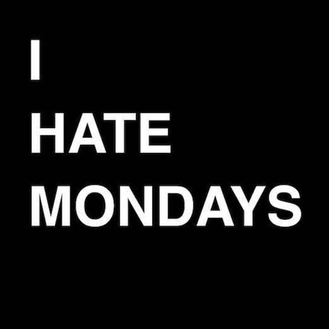 I Hate Mondays - especially when my love must fly off for work- cant sleep right - is the week over yet? Monday Sucks, I Hate Mondays, Hate Mondays, Weekend Humor, Friday Weekend, Cant Sleep, Dj, Sleep, Puppies