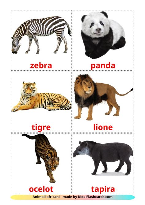 Jungle animals - 21 Free Printable italian Flashcards Printable Animal Pictures, Italian Flashcards, Animal Flashcards, Learn Italian, Flashcards For Kids, Printable Animals, Italian Words, Animal Activities, Picture Cards