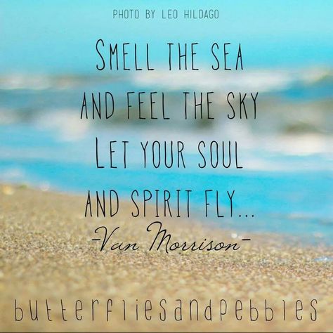 Smell the sea and feel the sky. Let your soul and spirit fly. -Van Morrison Butterflies And Pebbles, Beachy Signs, Pallet Pictures, Sky Tattoos, Van Morrison, Coastal Life, Beach Quotes, Outdoor Statues, Soul Music