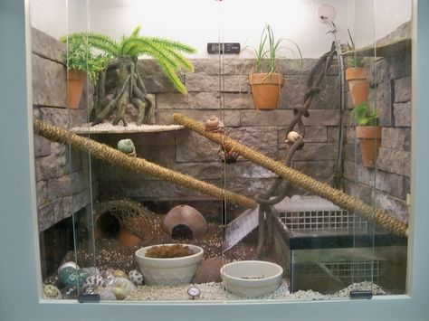 Almost Everything You Need to Know About Hermit Crab Care Cool Hermit Crab Habitat, Hermit Crabs Habitat Ideas, Diy Hermit Crab Habitat, Hermit Crab Tank Ideas, Hermit Crab Habitat Ideas, Hermit Crab Care, Hermit Crab Cage, Hermit Crab Homes, Crab Habitat