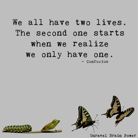 We All Have Two Lives Quotes, We Have Two Lives Quote, Self Realization Quotes Life Lessons, Confucius Tattoo, Important Things In Life Quotes, Start Living Quotes, Self Realization Quotes, We All Have Two Lives, November Inspiration