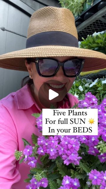 Carmen Johnston Gardens on Instagram: "Some of my favs for full sun ☀️" Carmen Johnston Gardens, Full Sun Planter Ideas, Full Sun Landscaping Ideas, Full Sun Flower Bed Ideas, Full Sun Planters, Plants For Planters, Full Sun Container Plants, Full Sun Landscaping, Front Yard Flowers