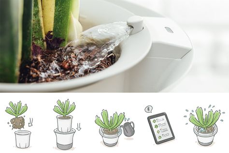 This smart gardening assistant solves the millennial problem of watering your plants while globetrotting! – Yanko Design Smart Gardening, Atmospheric Water Generator, Interior Light Fixtures, Plant Logos, Ivy Plants, Smart Garden, Plant Table, Plant Vase, Garden Kits