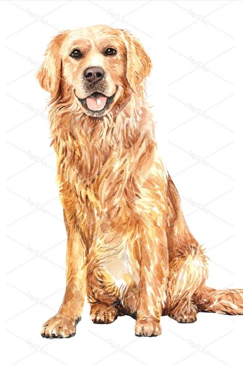 Dog Drawing Golden Retriever, A Dog Drawing, Golden Retriever Sitting, Retriever Drawing, Golden Retriever Drawing, Golden Retriever Watercolor, Golden Retriever Painting, Dog Illustration Art, Perros Golden Retriever