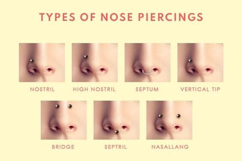 Can a Lawyer Have a Nose Piercing? A lot of people are wondering can a lawyer have a nose piercing. The answer is yes, they can! Lawyers are just like any other professionals when it comes to piercings. Types Of Nose Piercings, Types Of Nose, Nasallang Piercing, High Nostril Piercing, Different Types Of Piercings, Upper Lip Piercing, Nose Types, Bridge Piercing, Surface Piercing