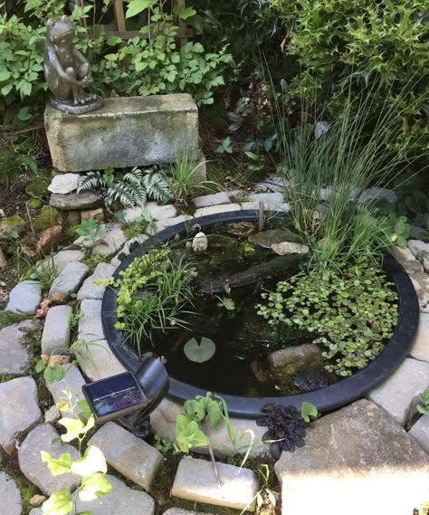 Bird Bath Pond Ideas, Tiny Pond Ideas, Bird Bath Pond, Frog Pond Diy, Frog Pond Ideas, Tiny Pond, Diy Mini Pond, Frog Ponds Backyard, Frog Habitat Outdoor