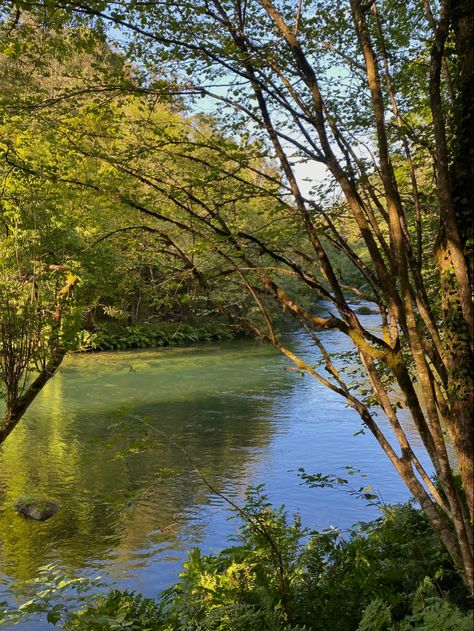 Pueblos Aesthetic, Aesthetic Sunlight, River Stream, Aesthetic Hiking, Forest Trees, Spring Aesthetic, Green Aesthetic, Spain, Quick Saves