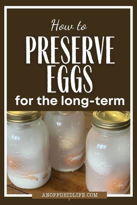 How To Keep Eggs Fresh Longer, How To Can Eggs, Preserve Eggs, Dry Canning, Summer Canning, Preserving Eggs, Storing Food Long Term, Ways To Make Eggs, Storing Eggs