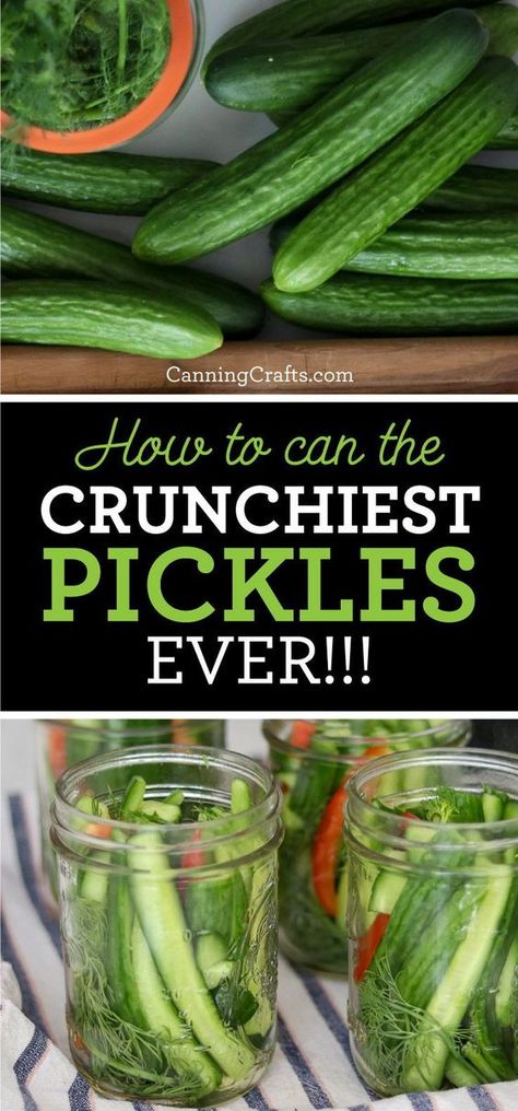 Mixed Pickles Canning Recipes, Sweet Dill Pickle Recipe Canning, Dill Pickle Recipe With Fresh Dill, Water Bath Dill Pickles, How To Can Dill Pickles, English Cucumber Recipes Canning, Canning Crispy Dill Pickles, Sliced Dill Pickles Canning, Crunchy Pickles Canning