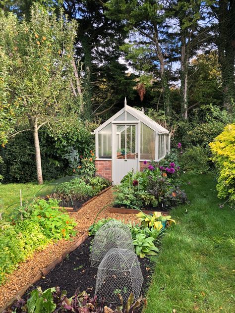 Green House Victorian, Small Victorian Greenhouse, Edwardian Greenhouse, Gorgeous Greenhouses, White Greenhouse, Edwardian Cottage, Edwardian Garden, Dream Greenhouse, Garden Redesign