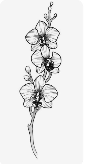 Typewriter Tattoo, Orchid Flower Tattoos, Orchid Drawing, Go Tattoo, Floral Art Paintings, Magic Runes, Animal Tattoo Ideas, Orchid Tattoo, Sweet Tattoos