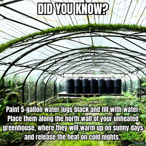 Off Grid Garden, Self Sustaining Home, Self Sufficient Living, Home Stead, Survival Projects, Self Sufficient Homestead, Survival Garden, Backyard Greenhouse, Greenhouse Plans