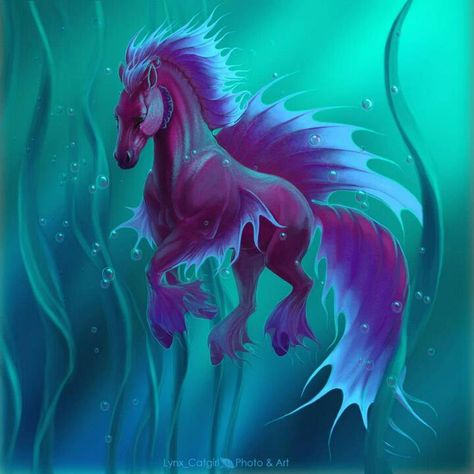 Water horse Mythical Sea Creatures, Magical Horses, Mythical Creatures Fantasy, Mystical Animals, Fantasy Horses, Mythical Animal, Fantasy Beasts, Horse Drawings, Fantasy Creatures Art