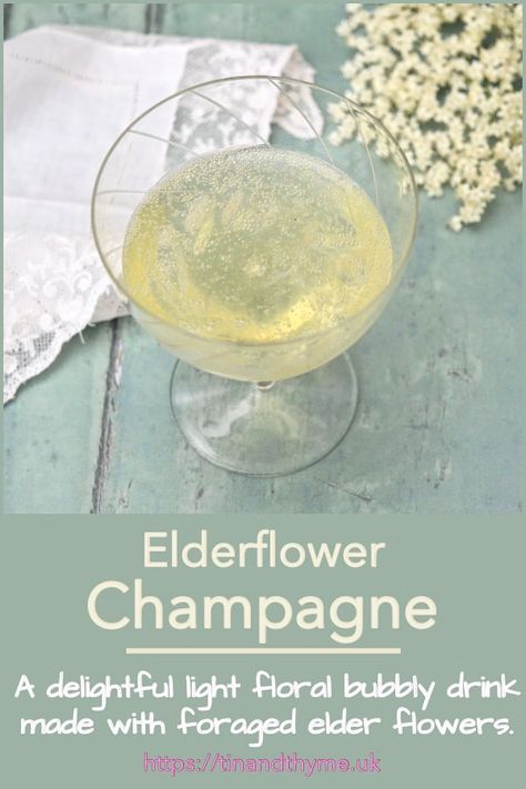 Elderflower Champagne. A delightful light floral bubbly drink made from foraged elder flowers. A glass of chilled floral fizz on a summer's day is so refreshing. Why not give it a go? #TinandThyme #ElderFlowers #SummerDrinks #SummerFizz #EdiblePlants Flower Champagne, Elder Flower Recipes, Elderflower Champagne Recipe, Elder Flower, Elderflower Drink, Elderflower Champagne, Champagne Recipe, Floral Drink, Fizzy Drink