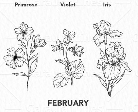 Primrose Tattoo Design, Primrose Drawing, Primrose Flower Tattoo, Primrose Tattoo, Bouquet Tattoo, Skin Art, New Tattoos, Flower Tattoo, Tattoo Designs