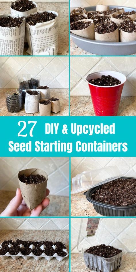 Diy Seed Starter Pots, Diy Plant Starter Containers, Diy Plant Starters, Indoor Plant Starter Seed Starting, Herb Seed Starting, Diy Seed Planter, Seed Container Ideas, Potting Up Seedlings, Starting Seedlings Indoors