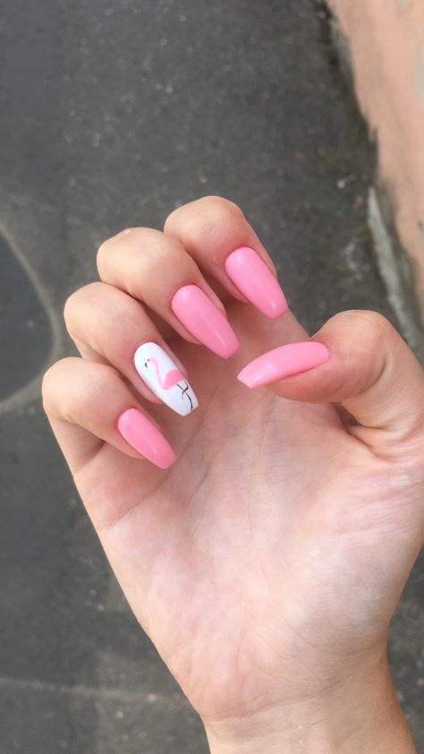 Pink Flamingo Nails, Flamingo Nails, Acrylic Nails Coffin Short, Beach Nails, Acrylic Nails Coffin, Nails Coffin, Pink Flamingo, Nails Ideas, Pink Flamingos