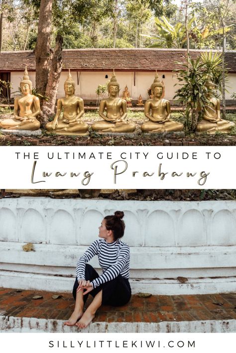 Girls Traveling, Traveling Asia, Champasak, Laos Travel, Luang Prabang Laos, Vientiane, Passport Photo, Luang Prabang, Asia Travel Guide